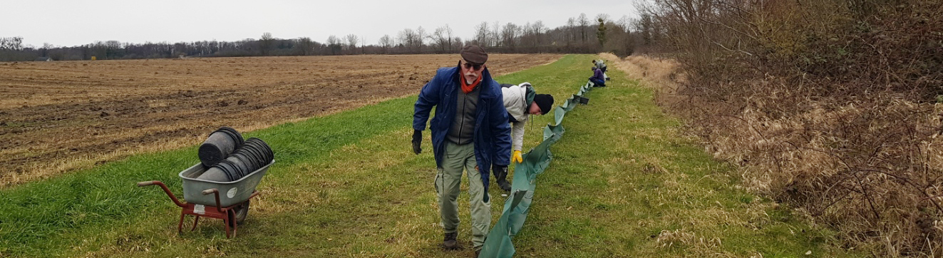 Die Amphibien wandern wieder
