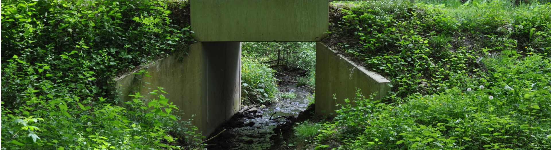 Baumaßnahmen zur Verbesserung der ökologischen Gewässerdurchlässigkeit im Hürtgenwald