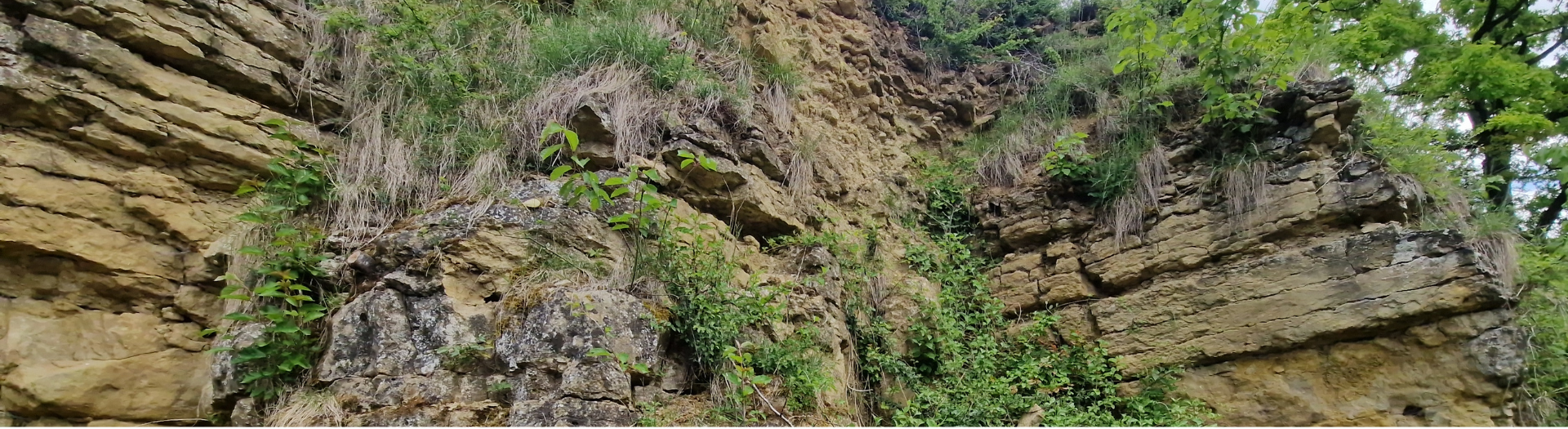 Sei dabei für die Artenvielfalt!