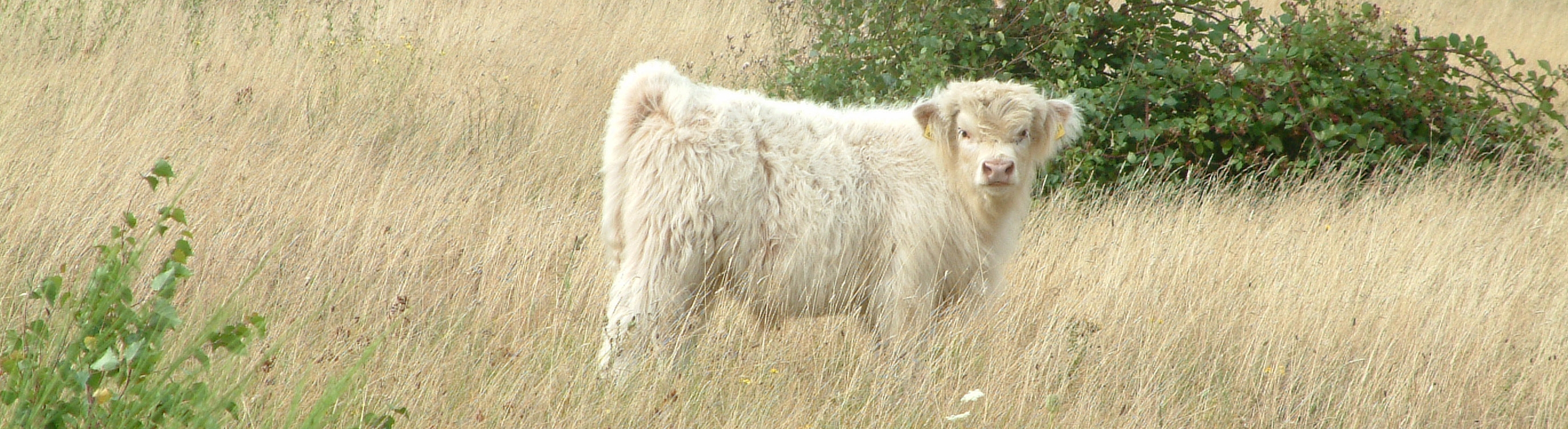 Titelbild Landwirtschaft