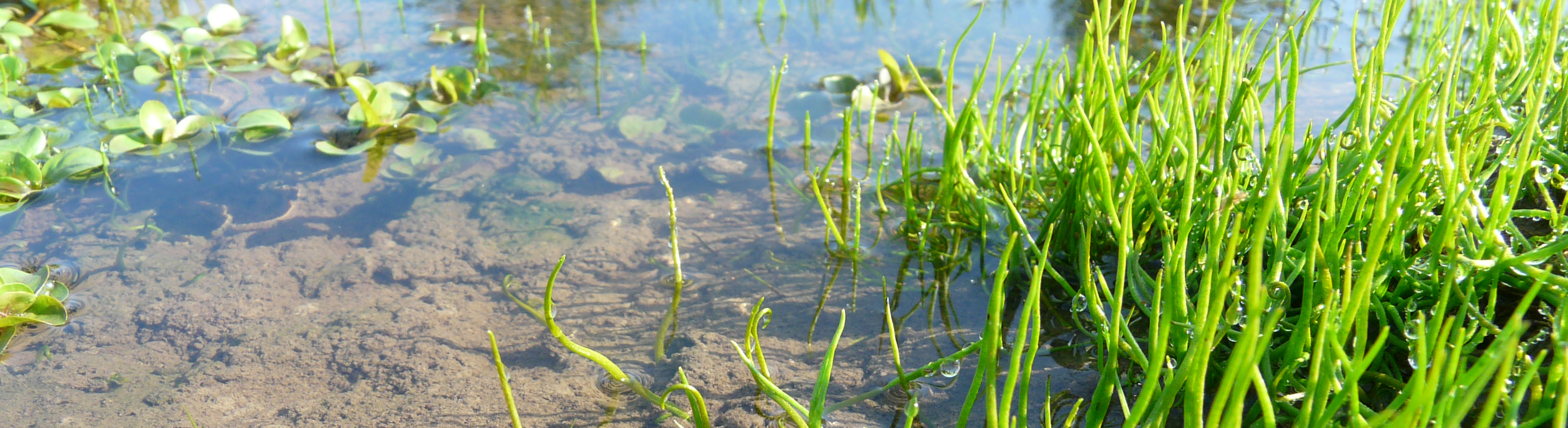 Titelbild Schutzgebiete