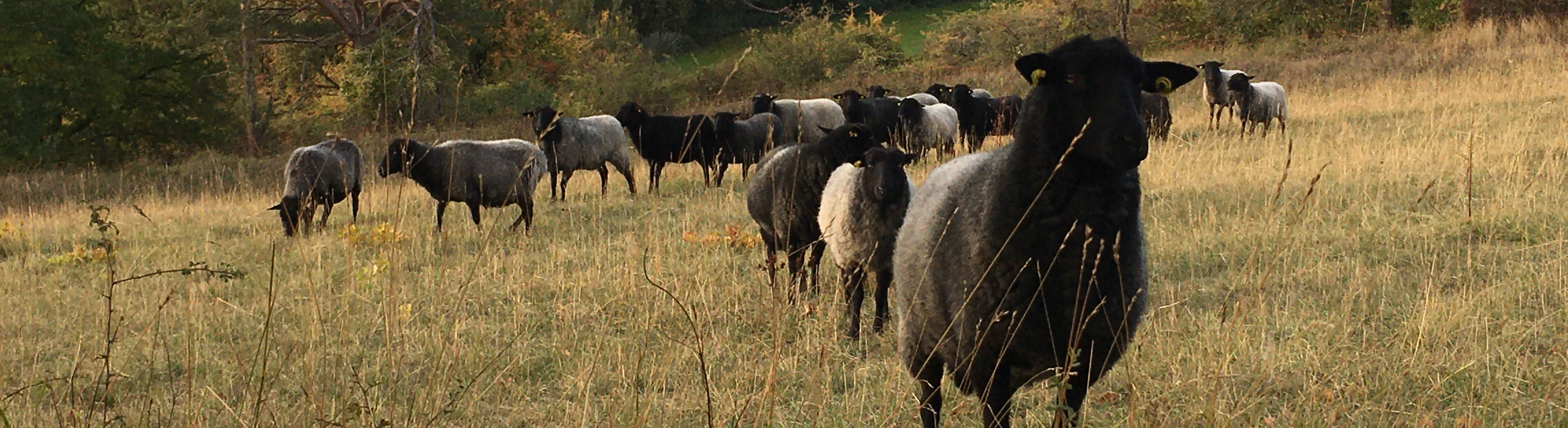 Titelbild Schutzgebiete