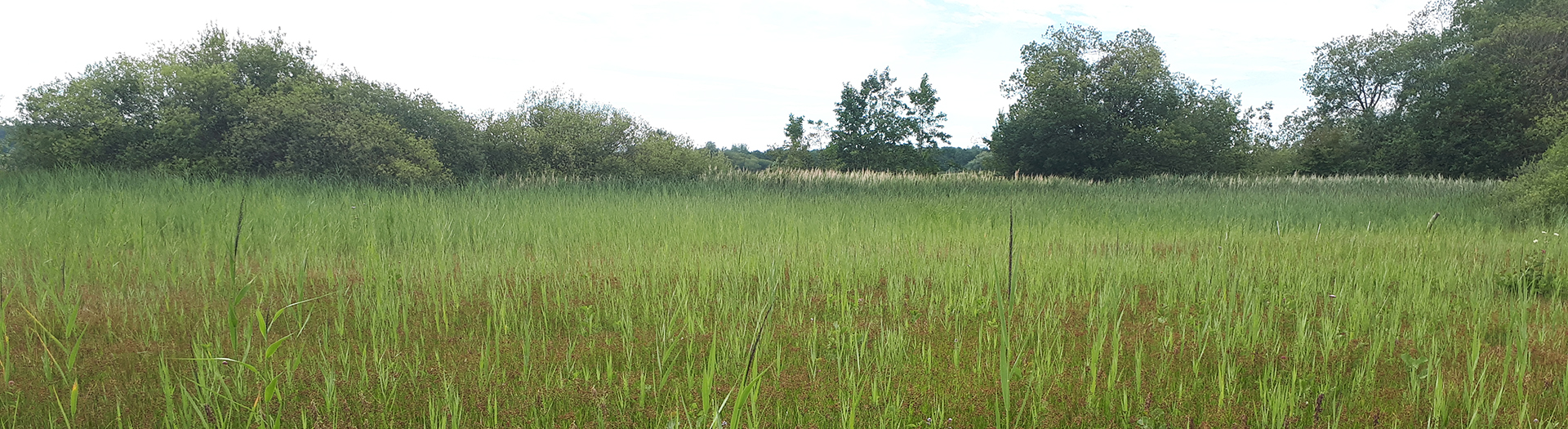 Titelbild Schutzgebiete