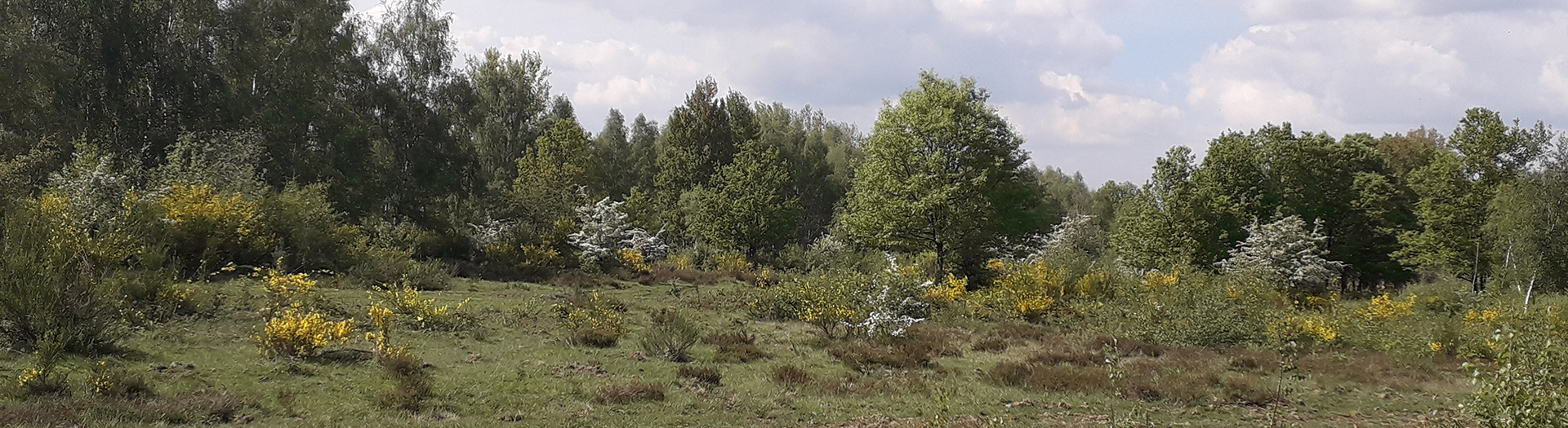 Titelbild Landwirtschaft