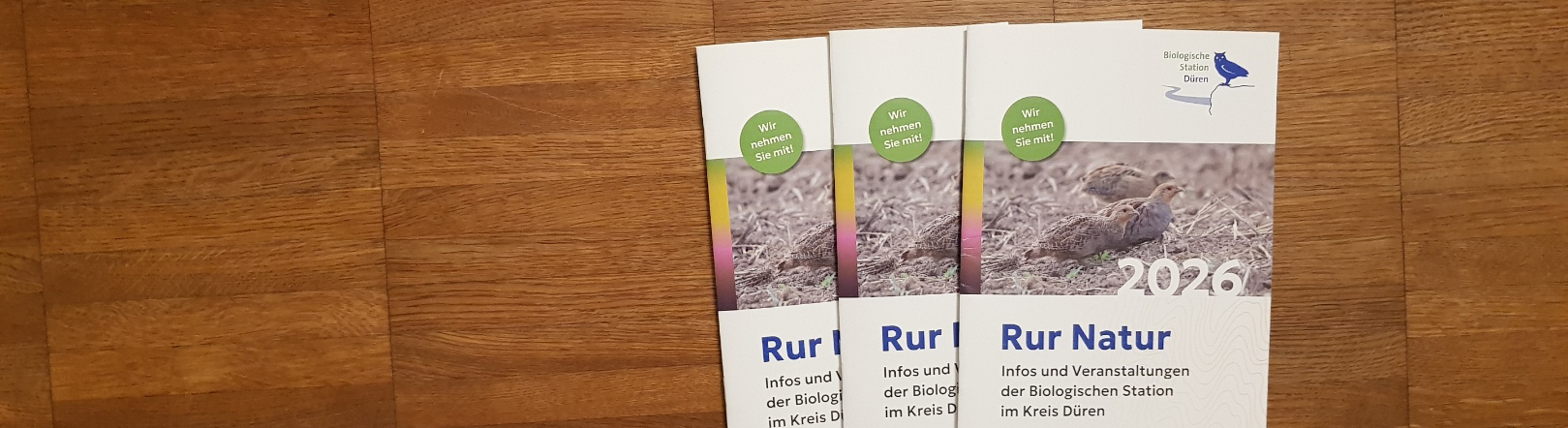 Der neue Veranstaltungskalender ist da!