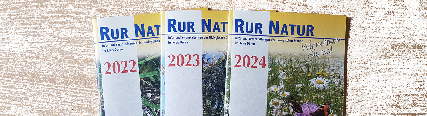 Titelbild Termine & Veröffentlichungen