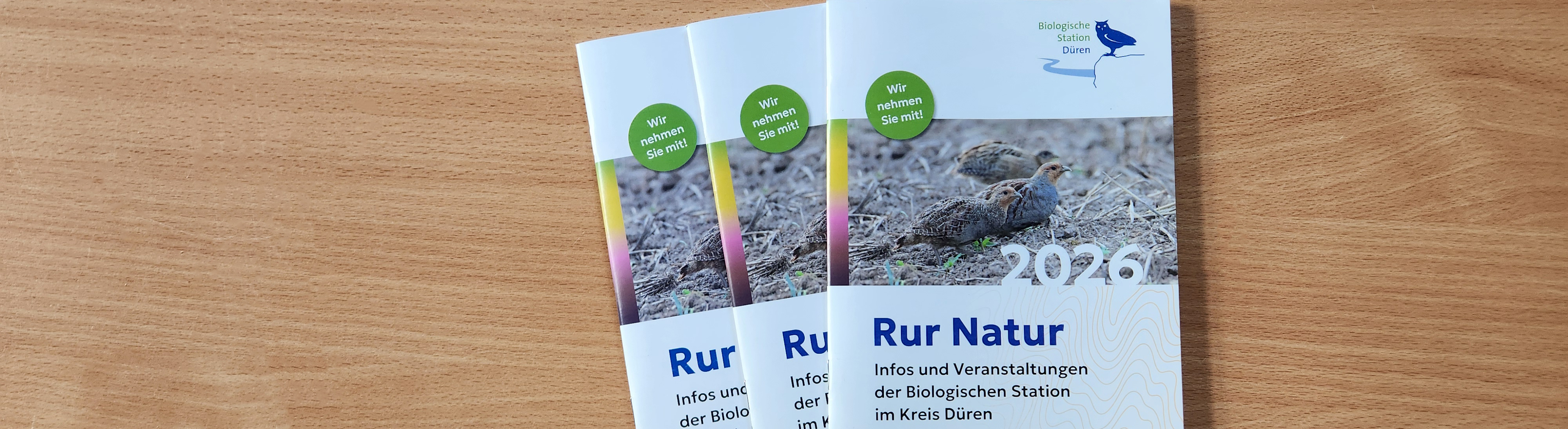 Titelbild Termine & Veröffentlichungen