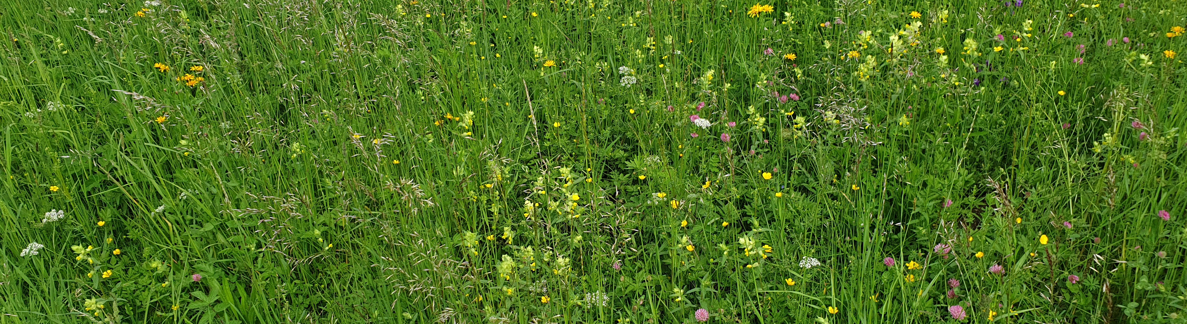 Mitarbeiter*in gesucht!