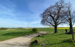 teaser-bild
