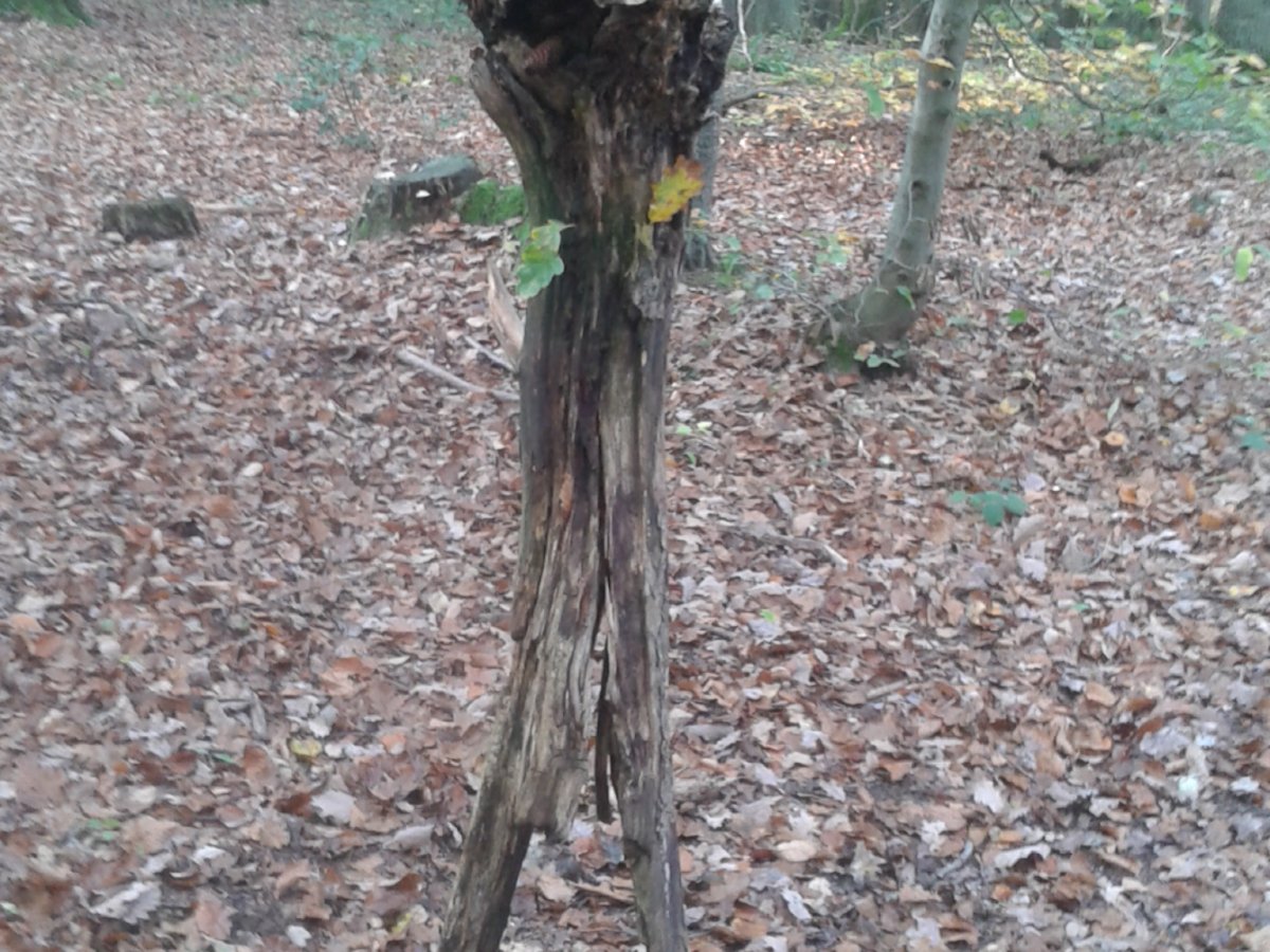 teaser-bild