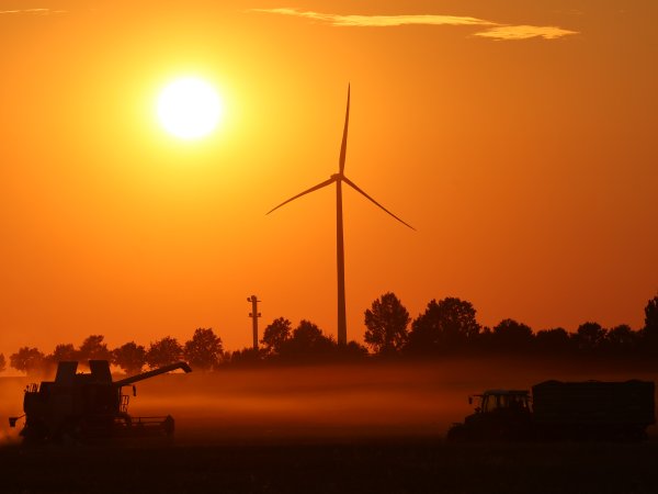 Katrin Coenen: Erntezeit mit Abendstimmung in Titz